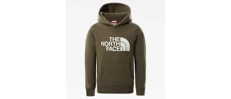 Felpa Junior THE NORTH FACE Drew Peak Verde